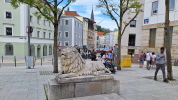 Klicken Sie auf das Bild, um es zu vergr&ouml;&szlig;ern